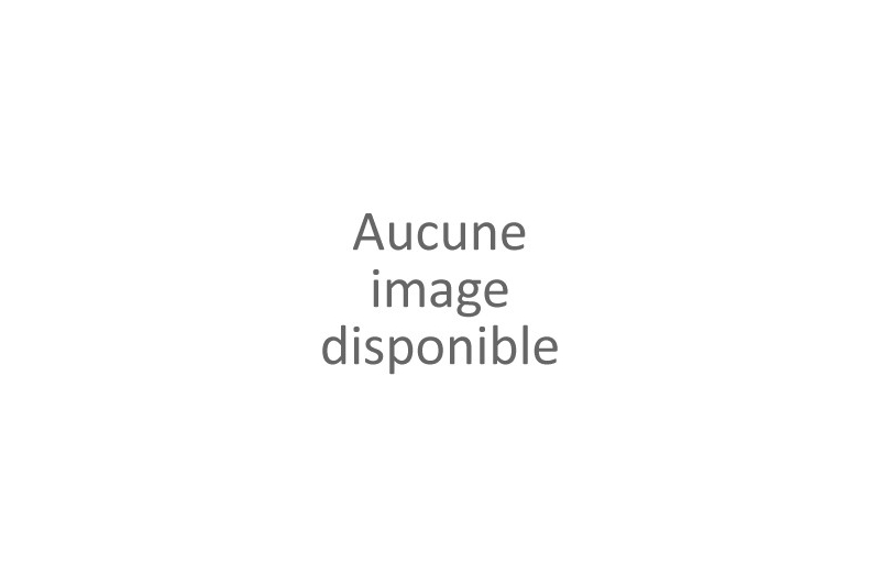 PIGNON TACHYMETRIQUE 11 D tournevis PIGNON TACHYMETRIQUE 11 D tournevis